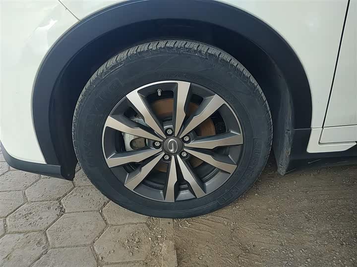 GAC Aion GE3 2020 2020款 530 互联网悦享版