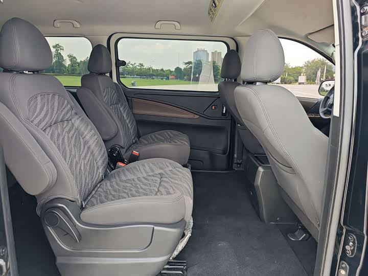 Dongfeng Forthing Lingzhi Plus 2021 2021款 2.0L 手动舒适型 7座