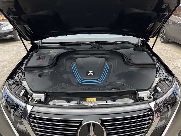 Mercedes-Benz EQC 2021 2021款 EQC 350 4MATIC