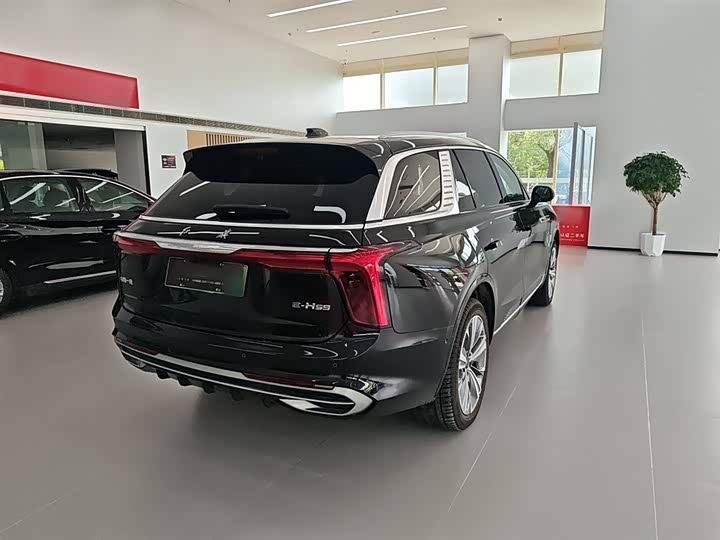 Hongqi E-HS9 2022 2022款 660km 旗畅版 六座