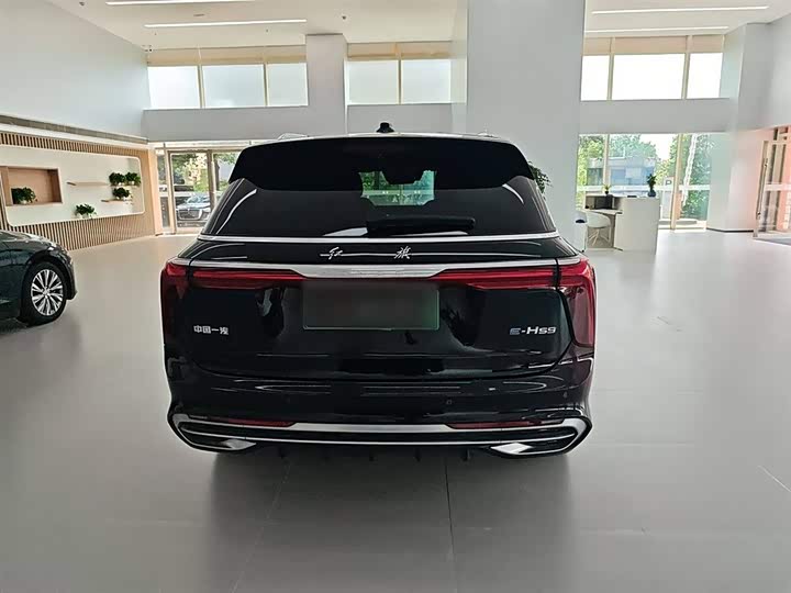 Hongqi E-HS9 2022 2022款 660km 旗畅版 六座