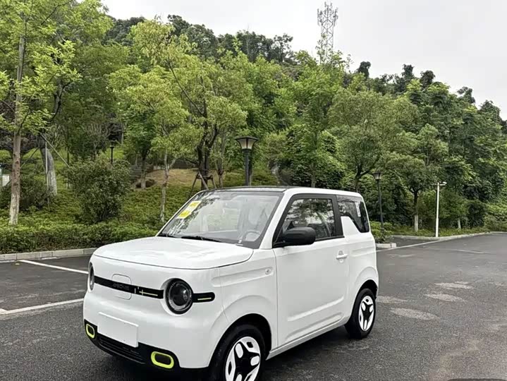 Geely Galaxy Panda Mini 2025 2025款 熊猫mini 210km 元气熊