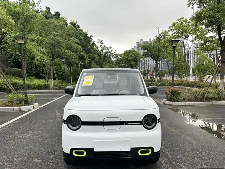 Geely Galaxy Panda Mini 2025 2025款 熊猫mini 210km 元气熊