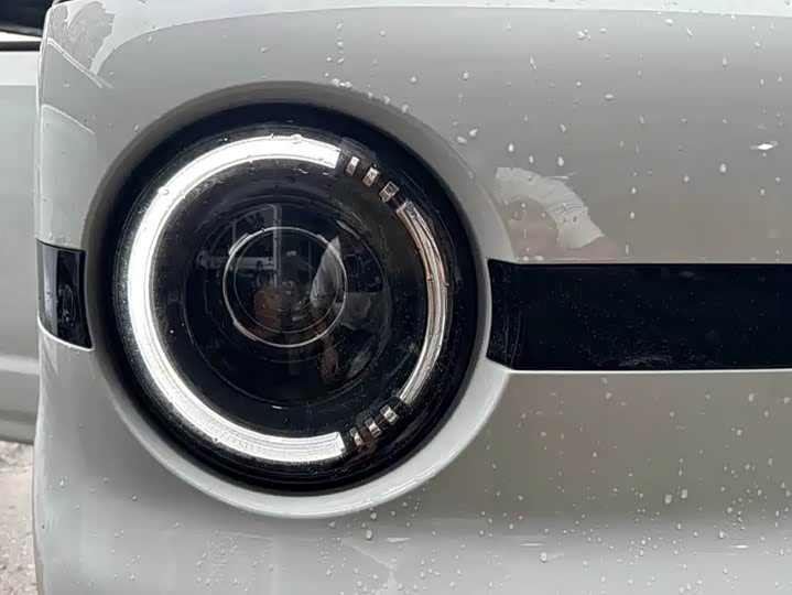 Geely Galaxy Panda Mini 2025 2025款 熊猫mini 210km 元气熊