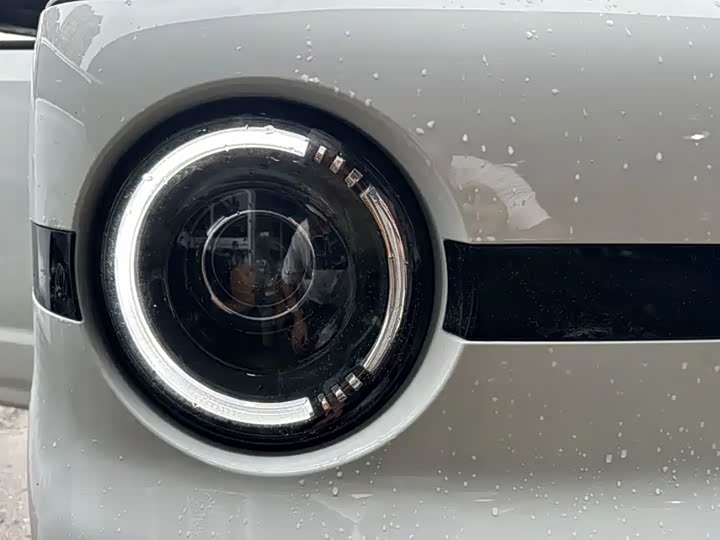 Geely Galaxy Panda Mini 2025 2025款 熊猫mini 210km 元气熊