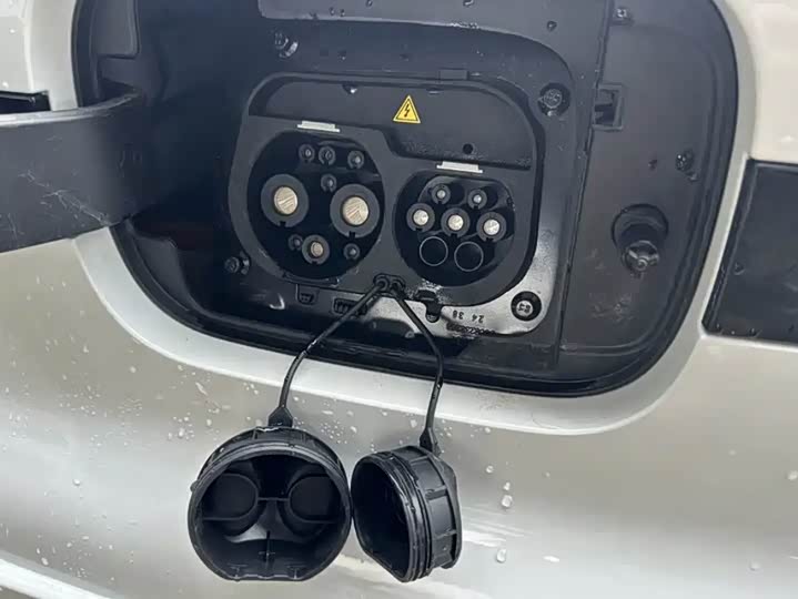 Geely Galaxy Panda Mini 2025 2025款 熊猫mini 210km 元气熊