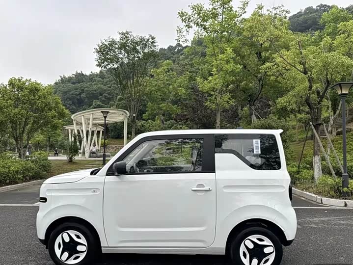 Geely Galaxy Panda Mini 2025 2025款 熊猫mini 210km 元气熊