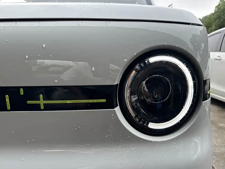 Geely Galaxy Panda Mini 2025 2025款 熊猫mini 210km 元气熊