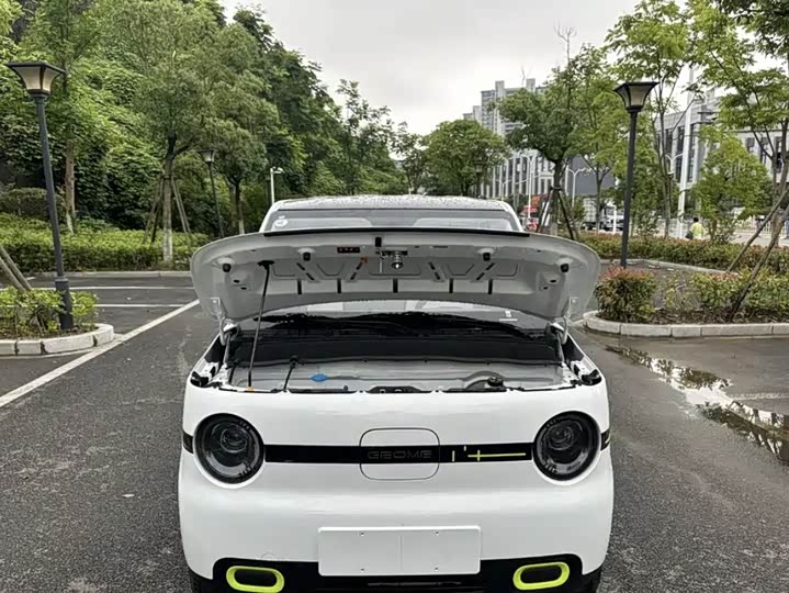 Geely Galaxy Panda Mini 2025 2025款 熊猫mini 210km 元气熊