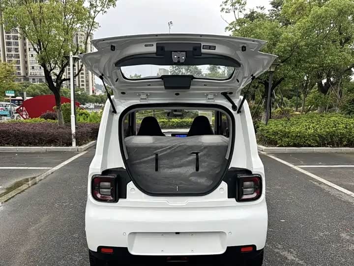 Geely Galaxy Panda Mini 2025 2025款 熊猫mini 210km 元气熊