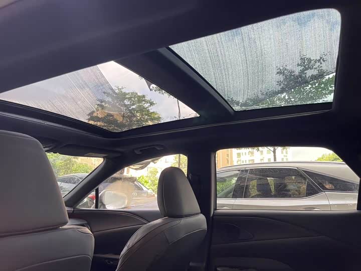 Lexus RX 2023 2023款 350h 四驱醇享版