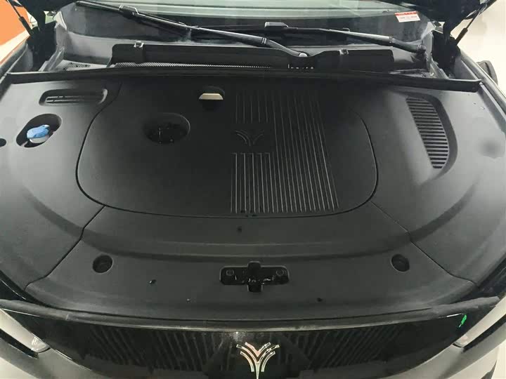 Hozon L 2024 2024款 增程 220 闪充版