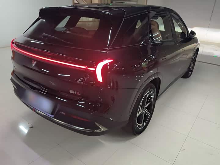 Hozon L 2024 2024款 增程 220 闪充版