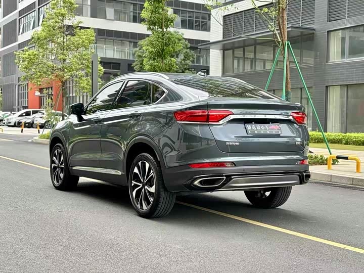 Geely Tugella S 2021 2021款 2.0TD 自动两驱闪电版