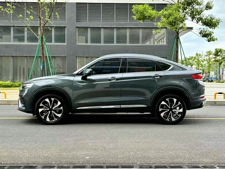 Geely Tugella S 2021 2021款 2.0TD 自动两驱闪电版