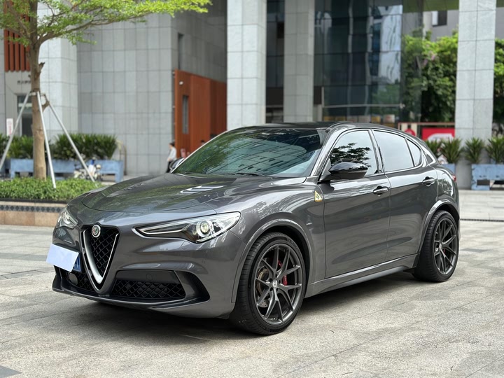 Alfa Romeo Stelvio 2022 2022款 2.9T 四叶草版