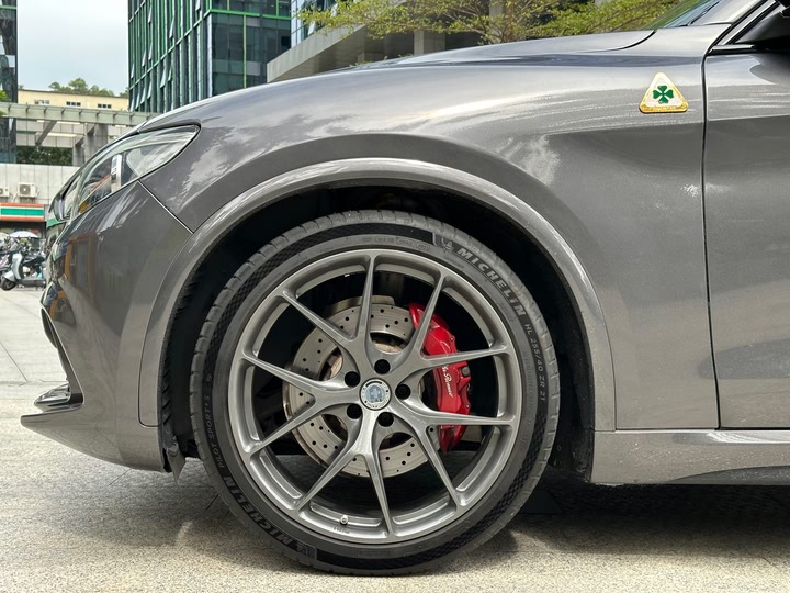 Alfa Romeo Stelvio 2022 2022款 2.9T 四叶草版