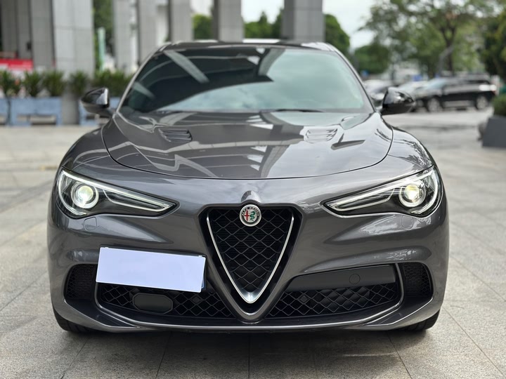 Alfa Romeo Stelvio 2022 2022款 2.9T 四叶草版