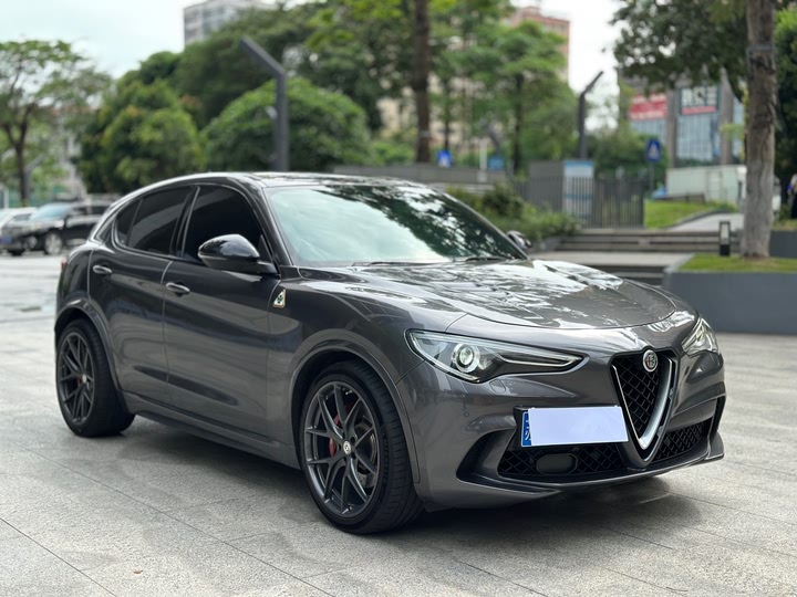 Alfa Romeo Stelvio 2022 2022款 2.9T 四叶草版