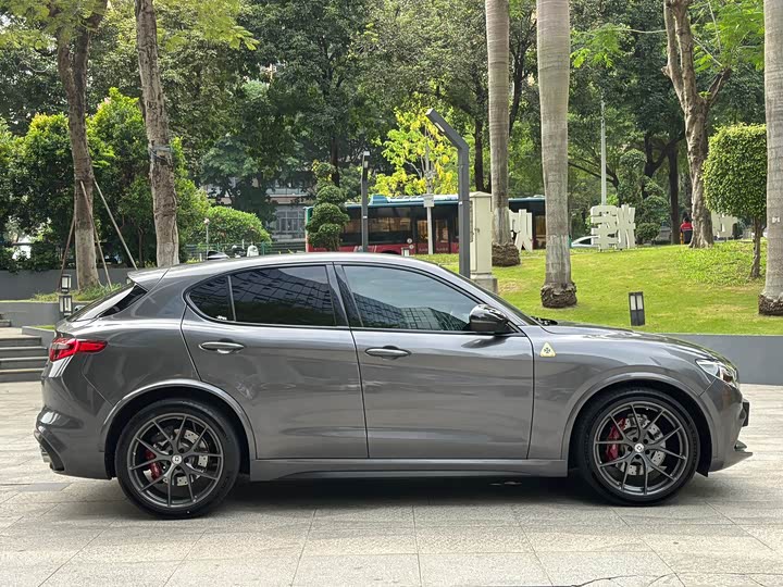 Alfa Romeo Stelvio 2022 2022款 2.9T 四叶草版