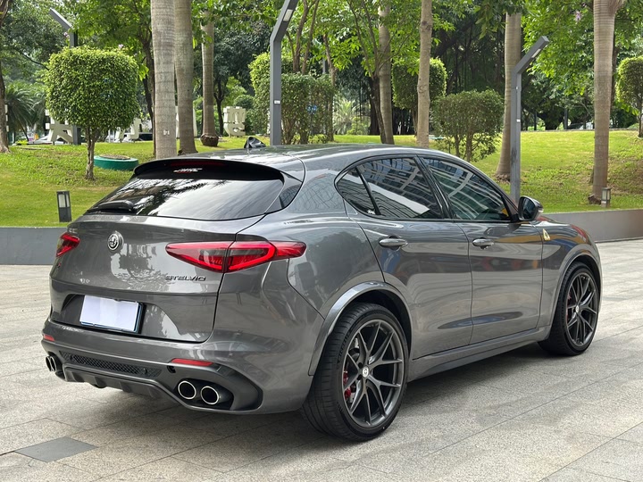 Alfa Romeo Stelvio 2022 2022款 2.9T 四叶草版