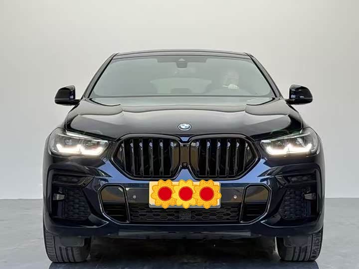 BMW X6 2023 2023款 xDrive30i M运动套装