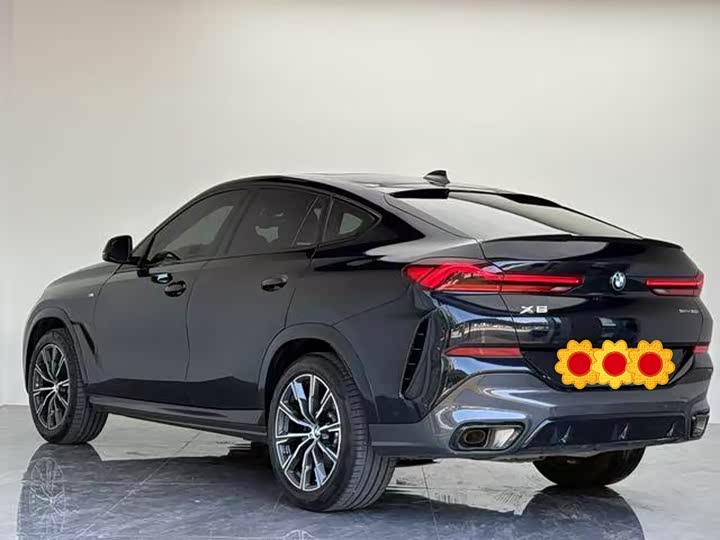 BMW X6 2023 2023款 xDrive30i M运动套装