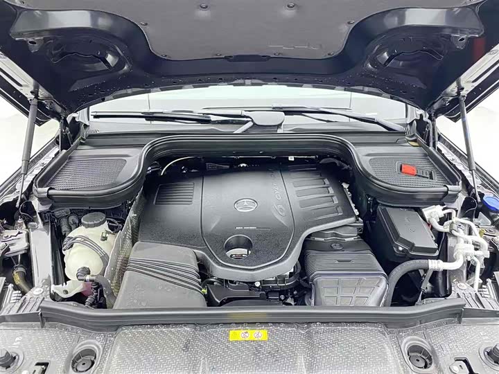 Mercedes-Benz GLS-Class 2024 2024款 GLS 450 4MATIC 动感型