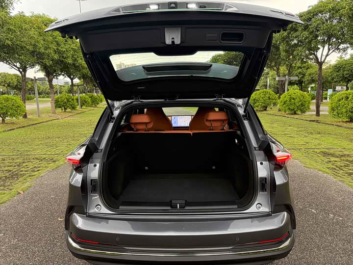 Hozon X 2024 2024款 500 先行版