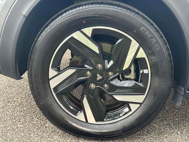 Hozon X 2024 2024款 500 先行版