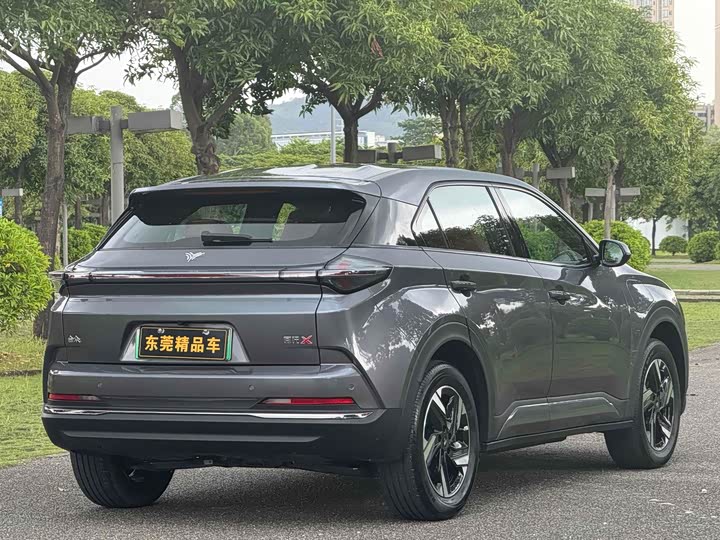 Hozon X 2024 2024款 500 先行版