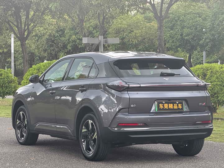 Hozon X 2024 2024款 500 先行版