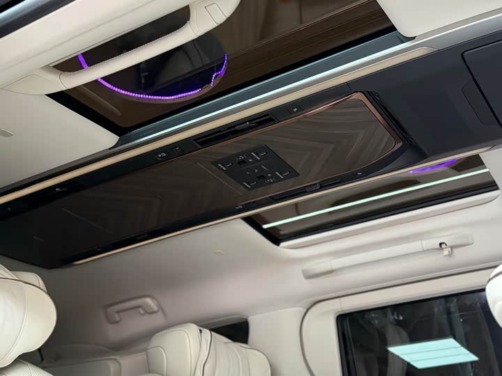 Lexus LM 2023 2023款 350h 七座隽雅版