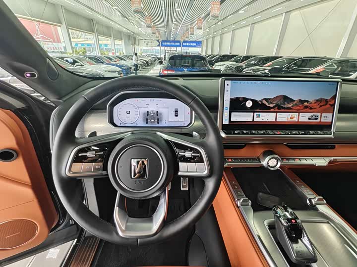 Tank 700 Hybrid 2024 2024款 Hi4-T 极境版