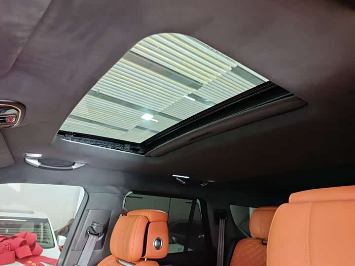 Tank 700 Hybrid 2024 2024款 Hi4-T 极境版