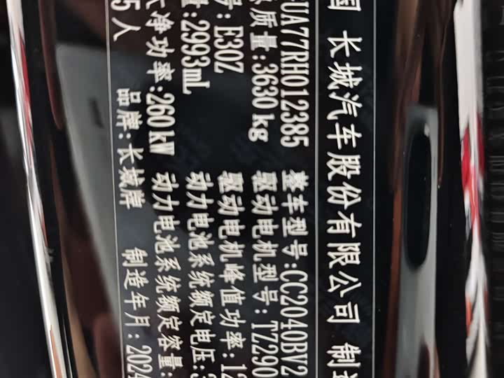 Tank 700 Hybrid 2024 2024款 Hi4-T 极境版