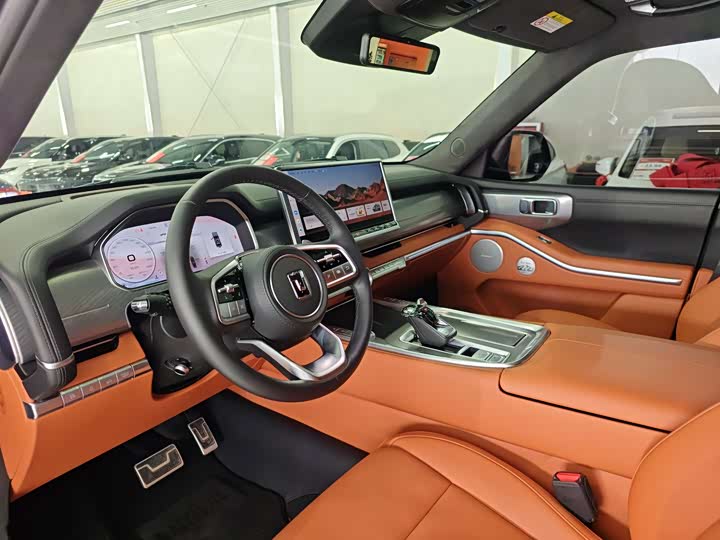 Tank 700 Hybrid 2024 2024款 Hi4-T 极境版