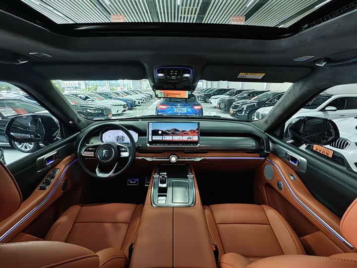 Tank 700 Hybrid 2024 2024款 Hi4-T 极境版