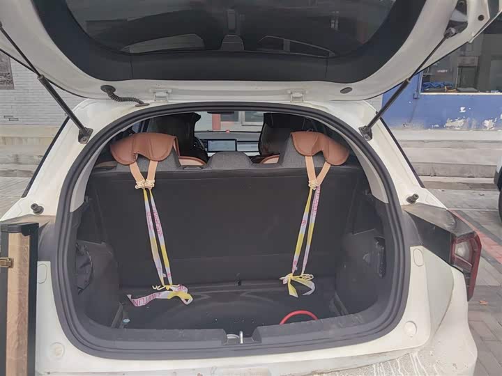 Geely Geometry E Firefly 2024 2024款 301km 流光