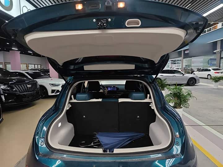 Ora Good Cat (03) 2023 2023款 401km标准续航 豪华型 磷酸铁锂