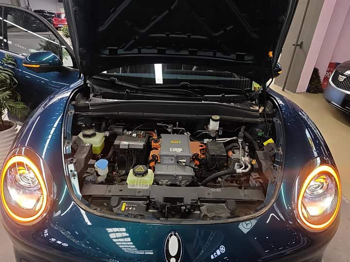 Ora Good Cat (03) 2023 2023款 401km标准续航 豪华型 磷酸铁锂