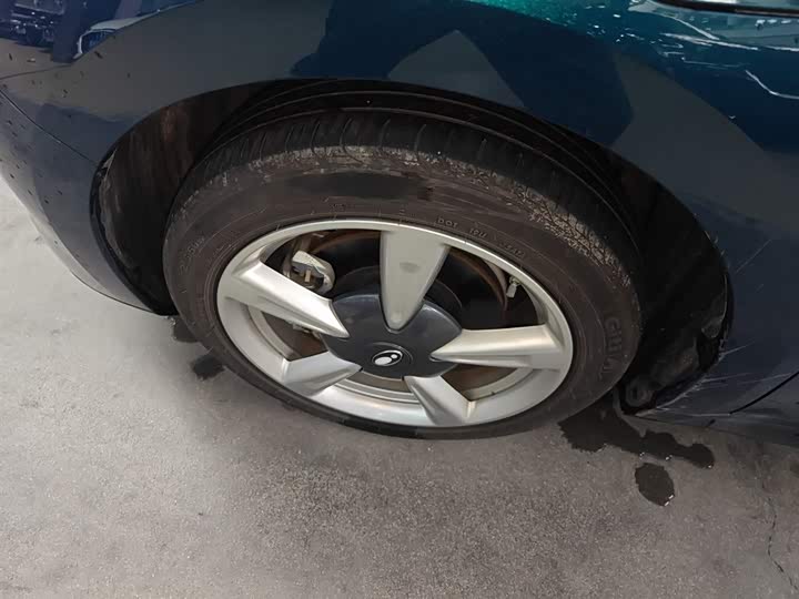 Ora Good Cat (03) 2023 2023款 401km标准续航 豪华型 磷酸铁锂