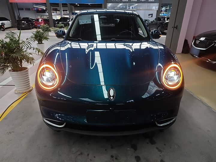 Ora Good Cat (03) 2023 2023款 401km标准续航 豪华型 磷酸铁锂