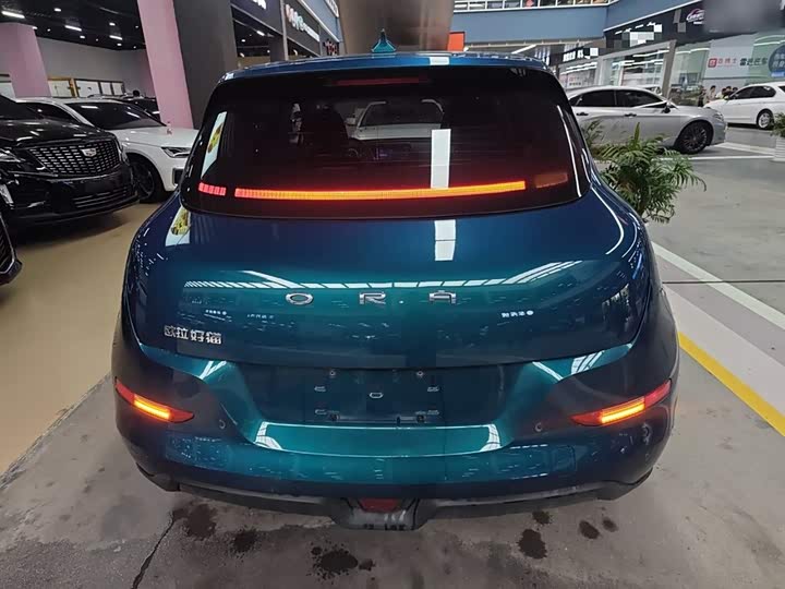 Ora Good Cat (03) 2023 2023款 401km标准续航 豪华型 磷酸铁锂