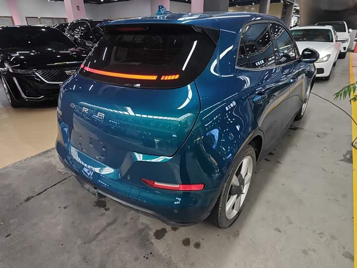 Ora Good Cat (03) 2023 2023款 401km标准续航 豪华型 磷酸铁锂