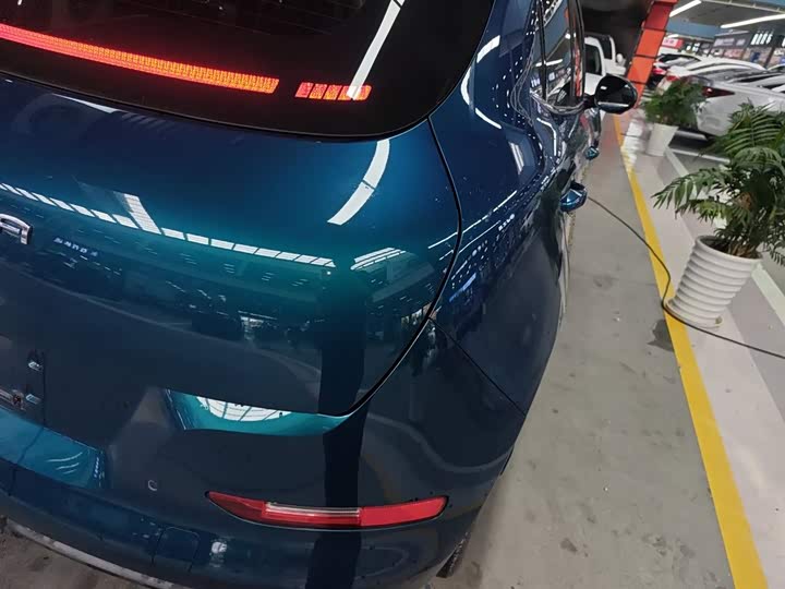 Ora Good Cat (03) 2023 2023款 401km标准续航 豪华型 磷酸铁锂