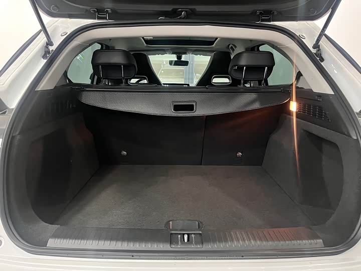 Hozon U 2022 2022款 智400 Pro 三元锂