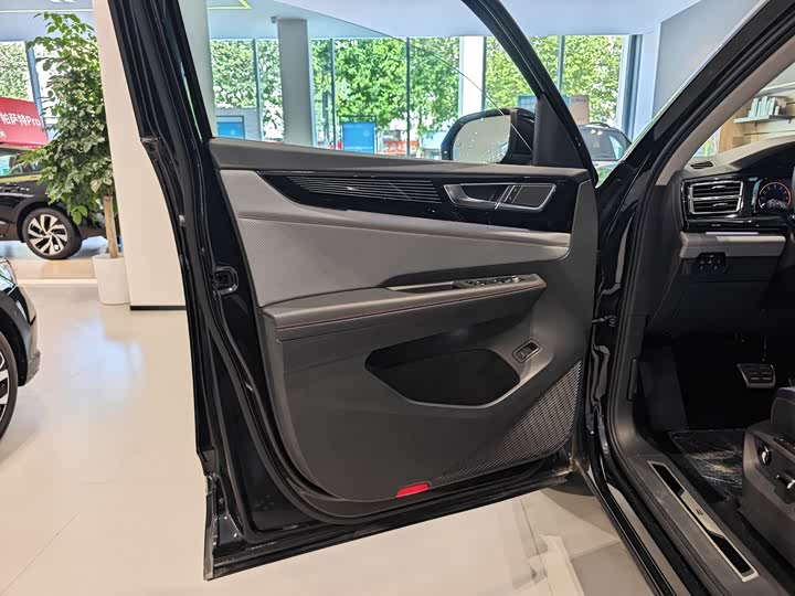 Volkswagen Teramont X 2024 2024款 途昂X 380TSI 四驱尊崇豪华版