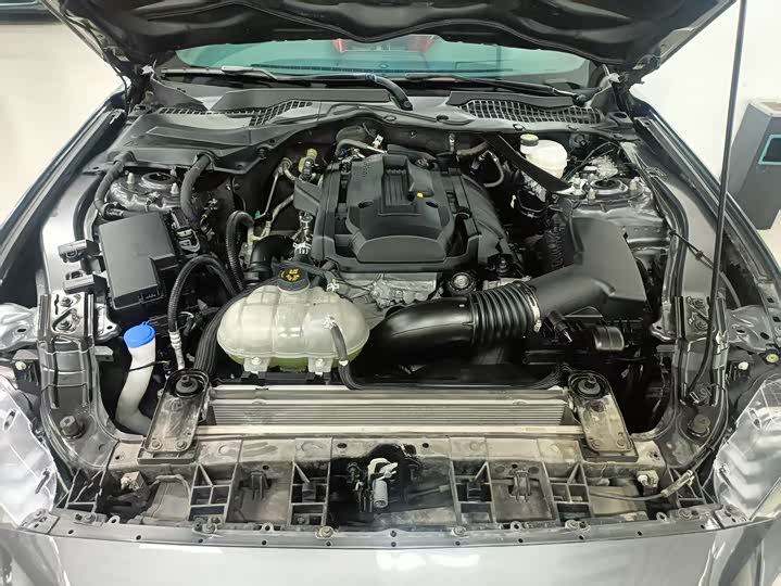 Ford Mustang 2021 2021款 2.3T EcoBoost 黑曜魅影特别版