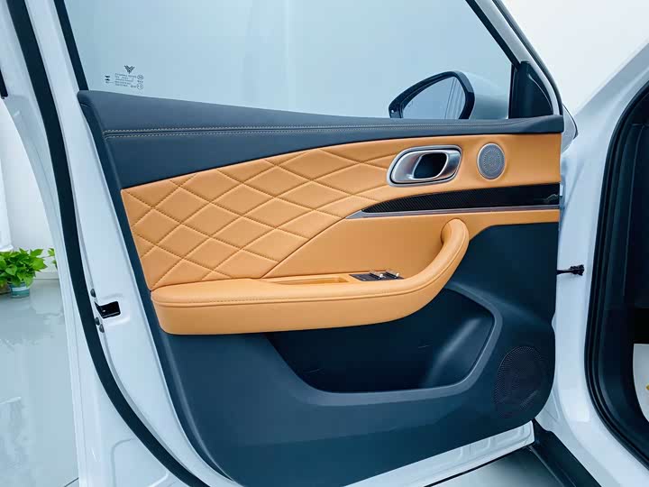 Hozon L 2024 2024款 增程 220 闪充版